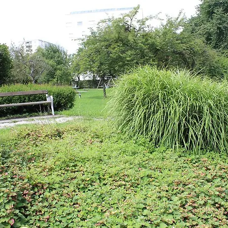 Privat bolig Penthouse Am Park